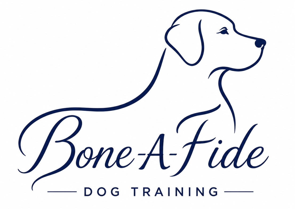 Bone A Fide Dog Training
